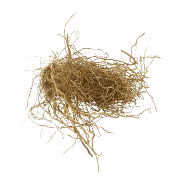 Patchouli Root